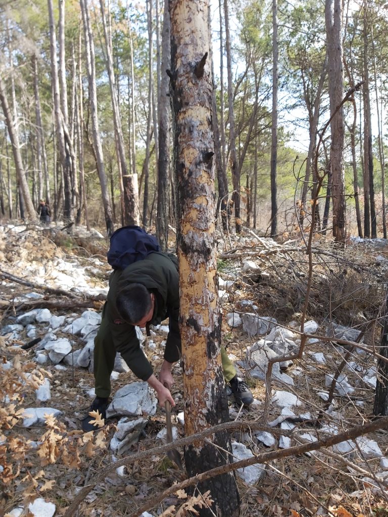 Sanacija požarišta na području Općine Čitluk